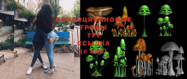 тгк Алексин