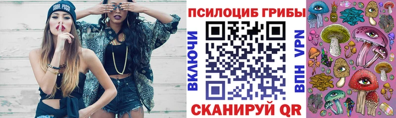 купить закладку  мега ТОР  Псилоцибиновые грибы мицелий  Кемерово 
